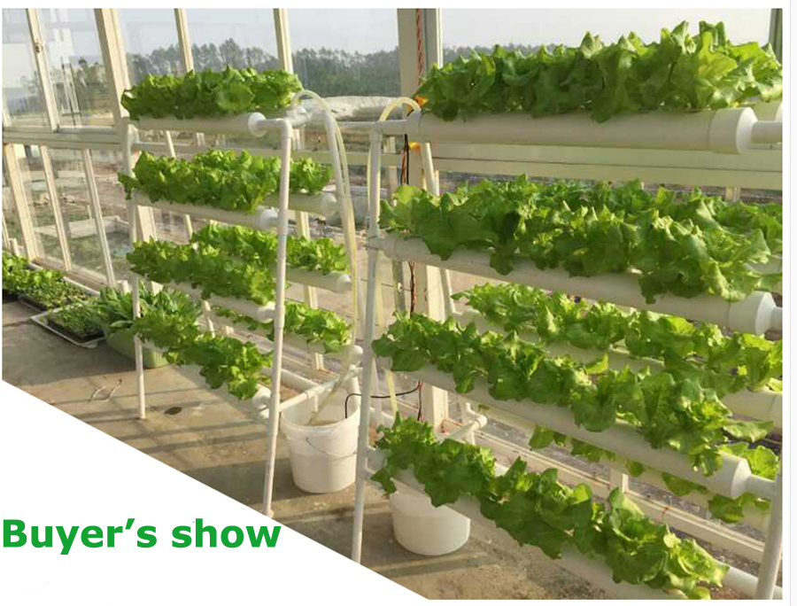 54 Plant Sites Hydroponic Site Grow Kit with Pump Water Culture Garden System