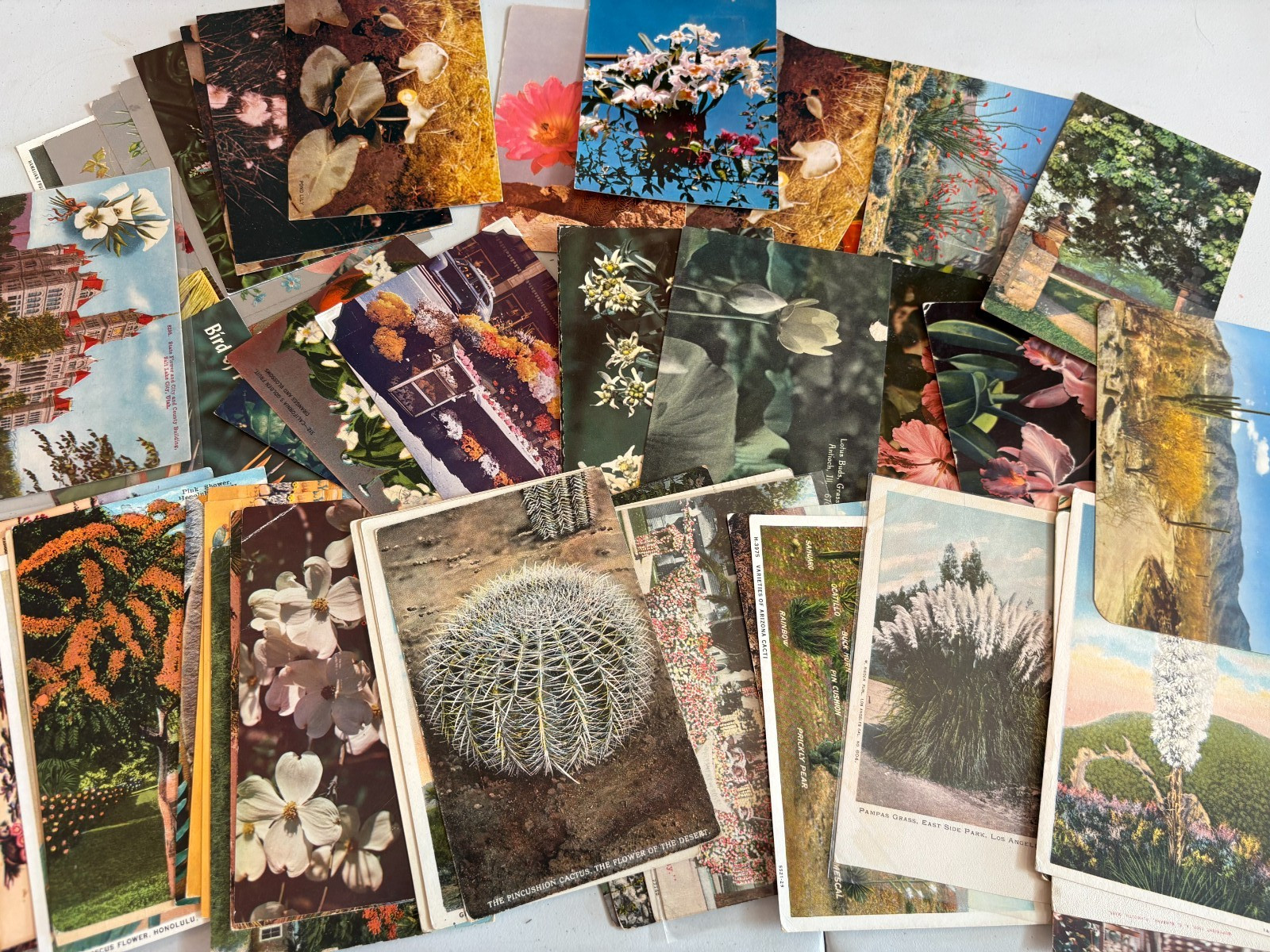Lot of 25 UNUSED Vintage Postcards USA & FUN TOPICS! 1900s-60s FREE SHIPPING