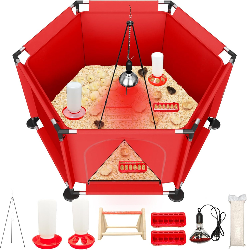 Chicks Brooder Box for Chicken Starter Kit–Includes Heat Lamp, Chick Feeder and