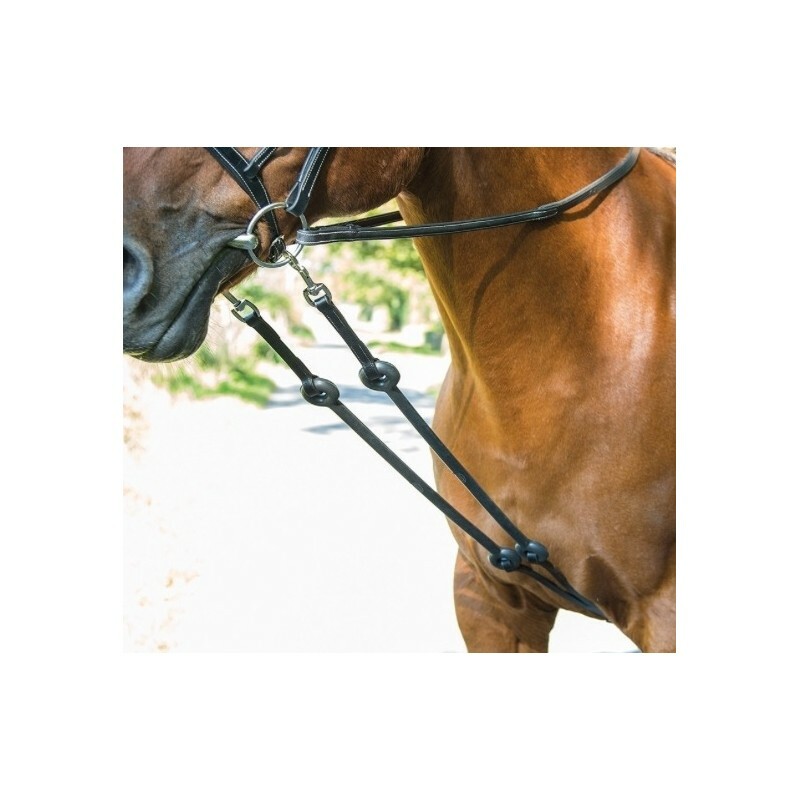 FIXED LEATHER TRAINING KERNELS WITH RUBBER TIE ELASTIC SIDE REINS