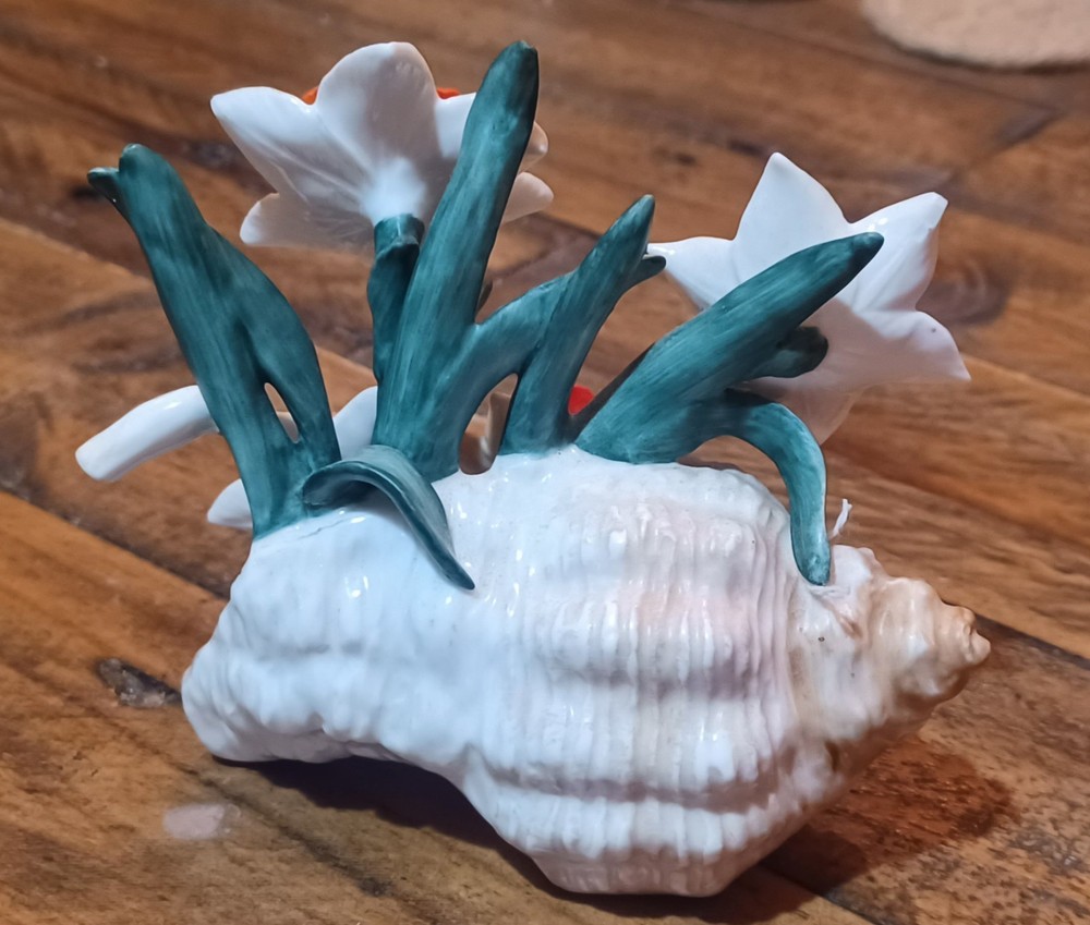 Daffodils In A Sea Shell Beautiful