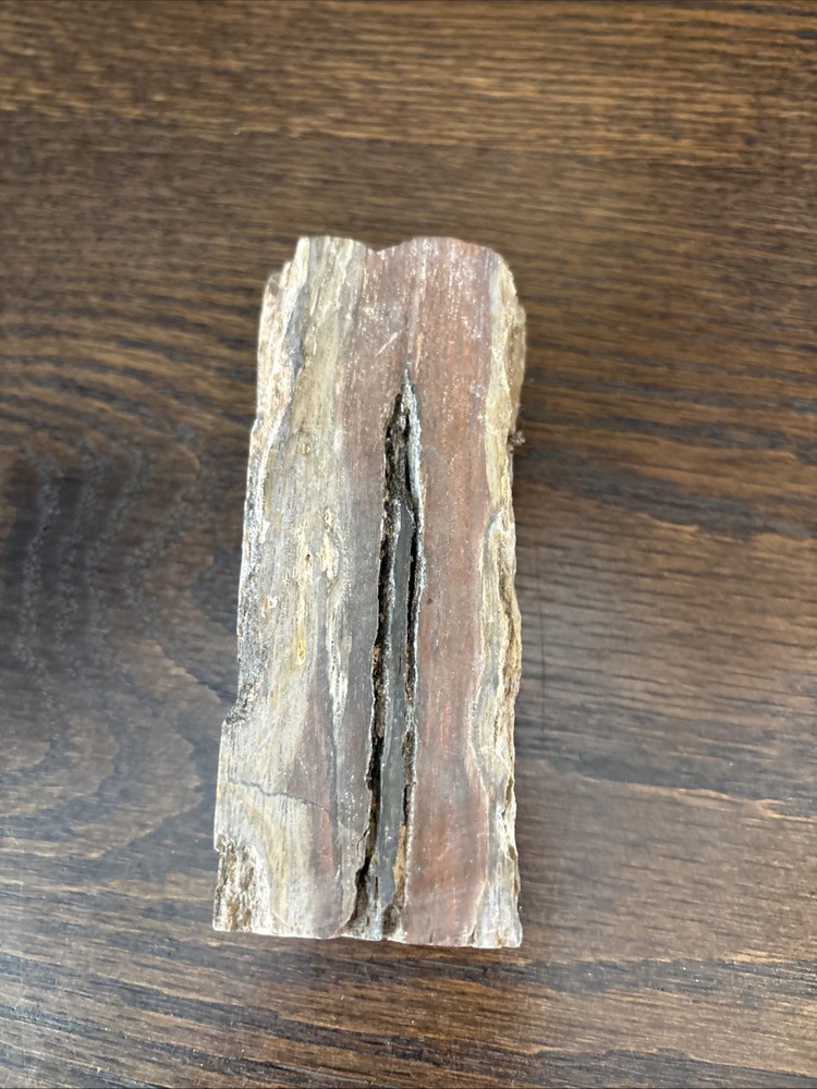 Petrified Wood