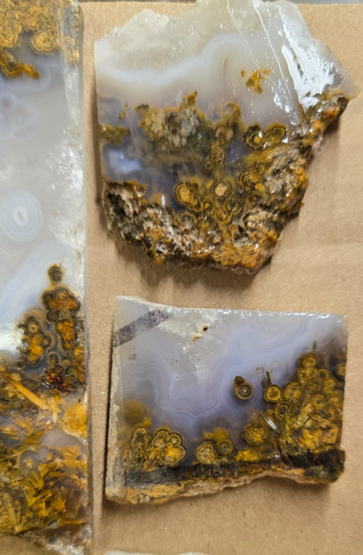 Sagenite Plume Agate Cabochon Slabs, Preforms, Slices, 8 Pcs, Flat 35