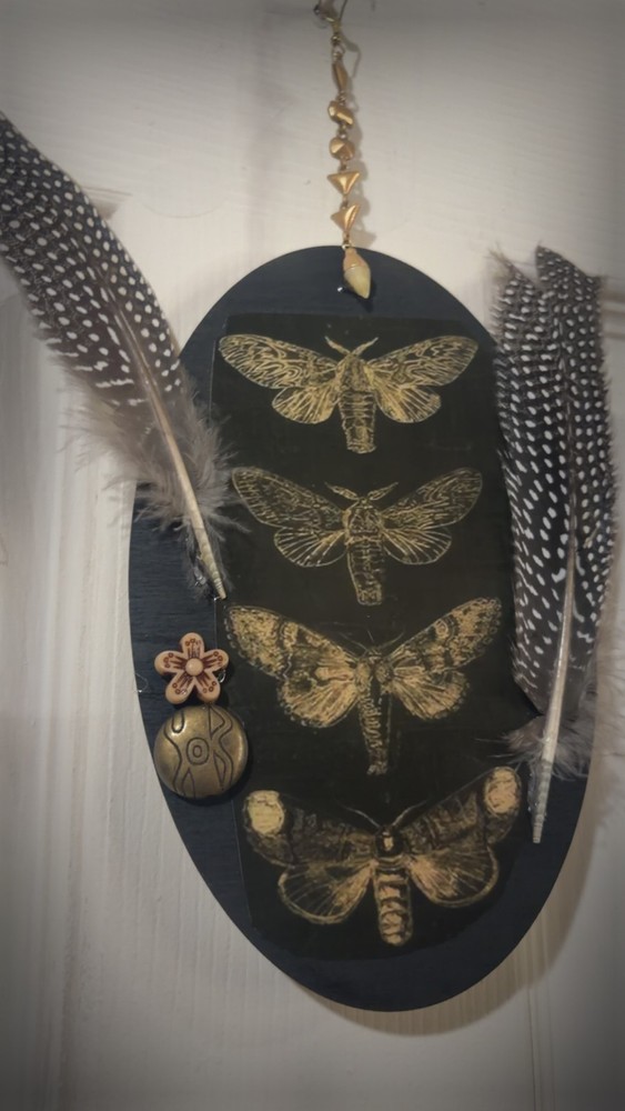 Vertical Moth Oddity Plaque Wall Decor Weird OOAK