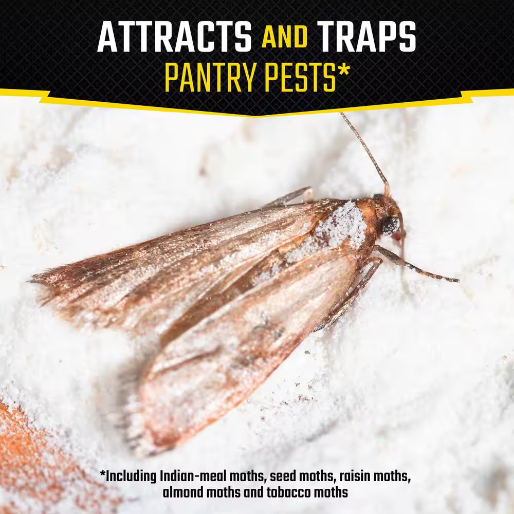 Pantry Pest Moth Glue Traps Multi-Pack (2-Count)