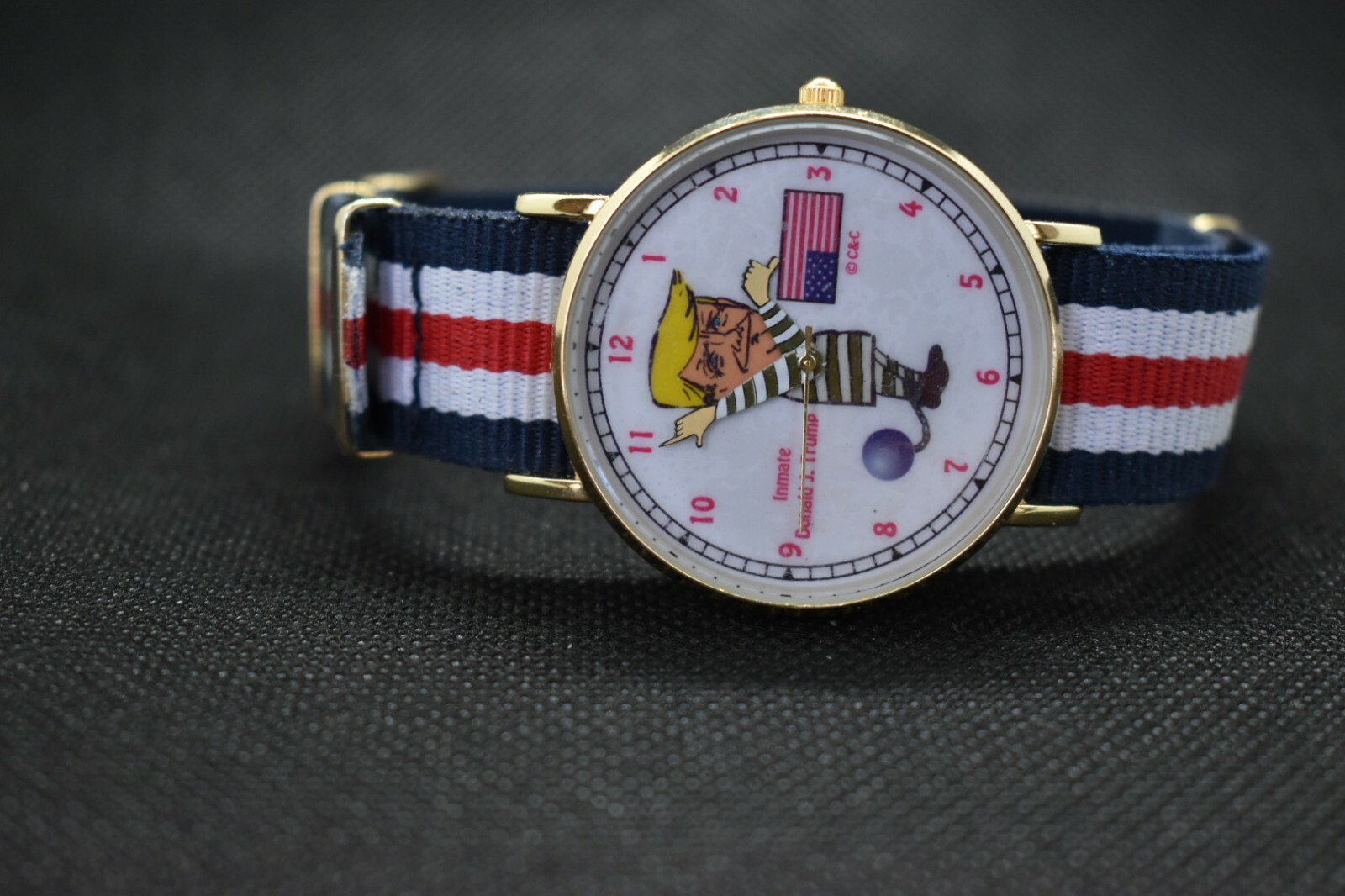 President Donald J. Trump Collectible Jailbird Watch