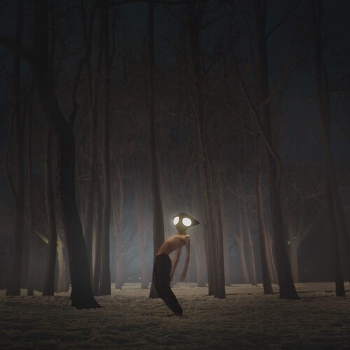 Geese - Projector [New CD]