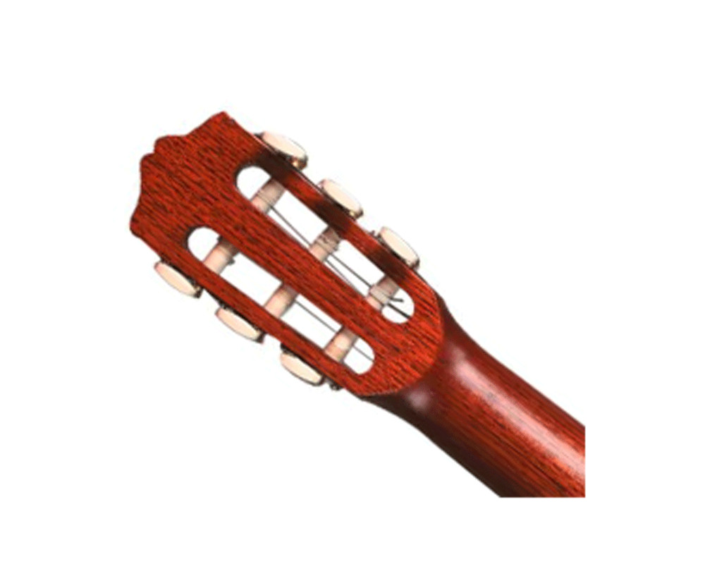 Cordoba Protégé CP100 Guitar Pack