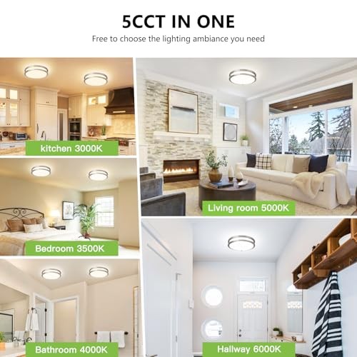 Flush Mount Ceiling Light - Pack4W 10 Inch 2 Brushed Nickel