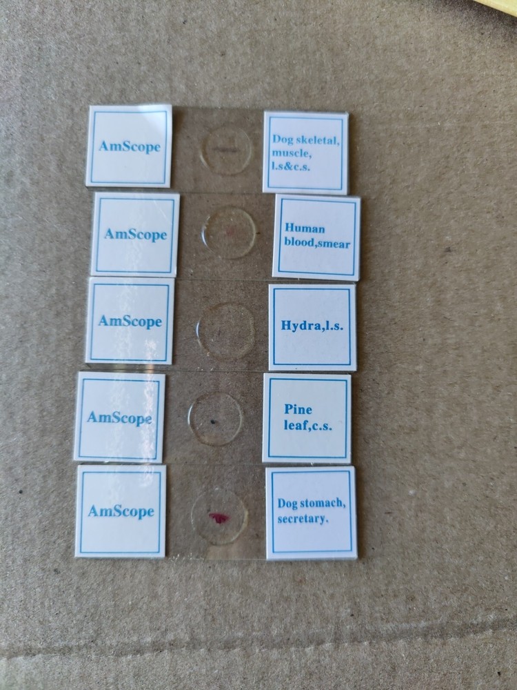 AmScope PS25W Prepared Slides