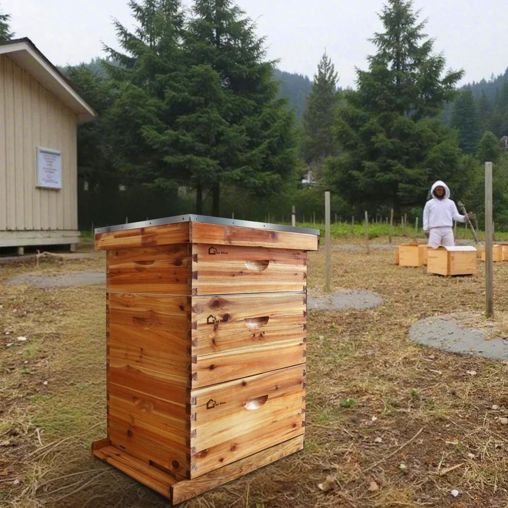 10-Frame Complete Beehive Frame Kit Wax Coated w/ 2 Deep Box 1 Medium Bee Box