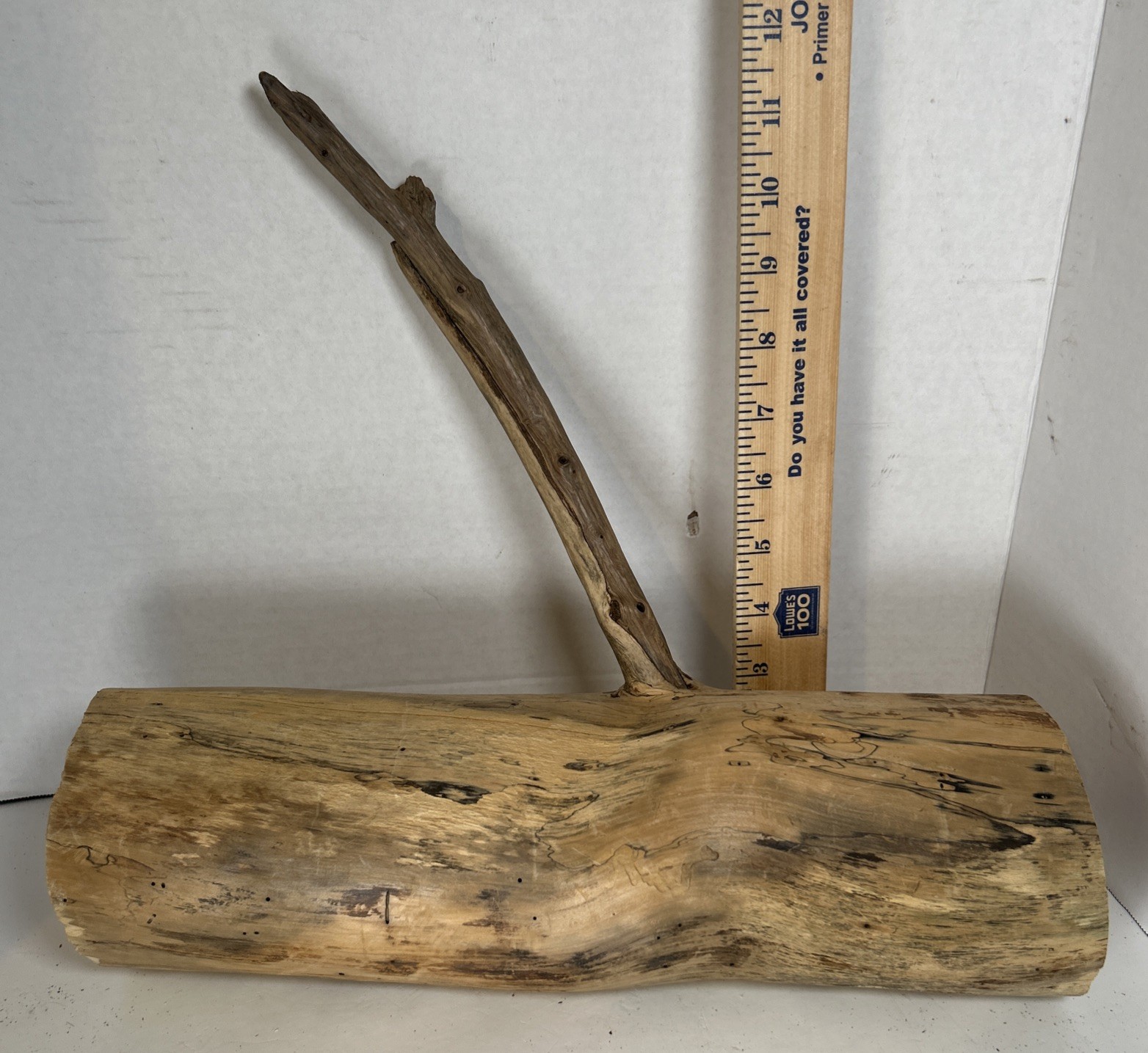 Driftwood¡ 2 Piece Set Cedar Taxidermy Beach Mountain Wedding 1 White Outside