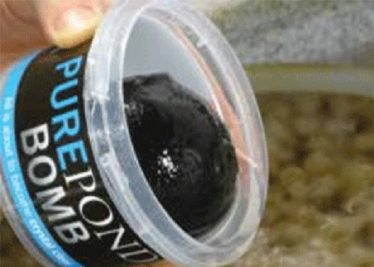 EVOLUTION AQUA PURE POND BOMB