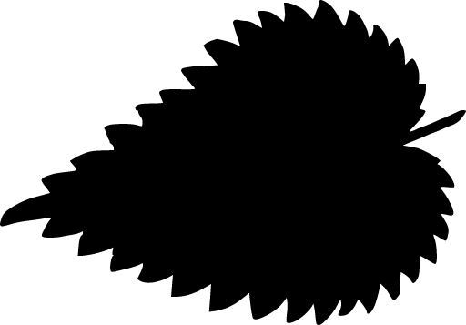 Leaf Stencil - 10 mil  Reusable Pattern