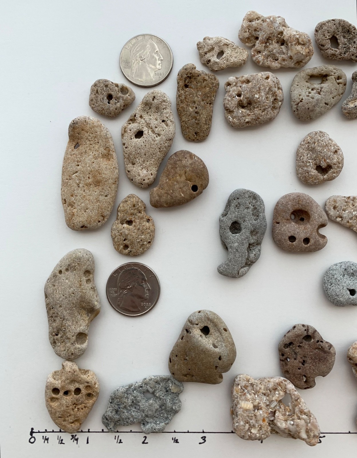 35 Adder Holey Beach Rocks Hag Stones Fairy Lucky Wish Magic Natural 1" #B2 US❤️