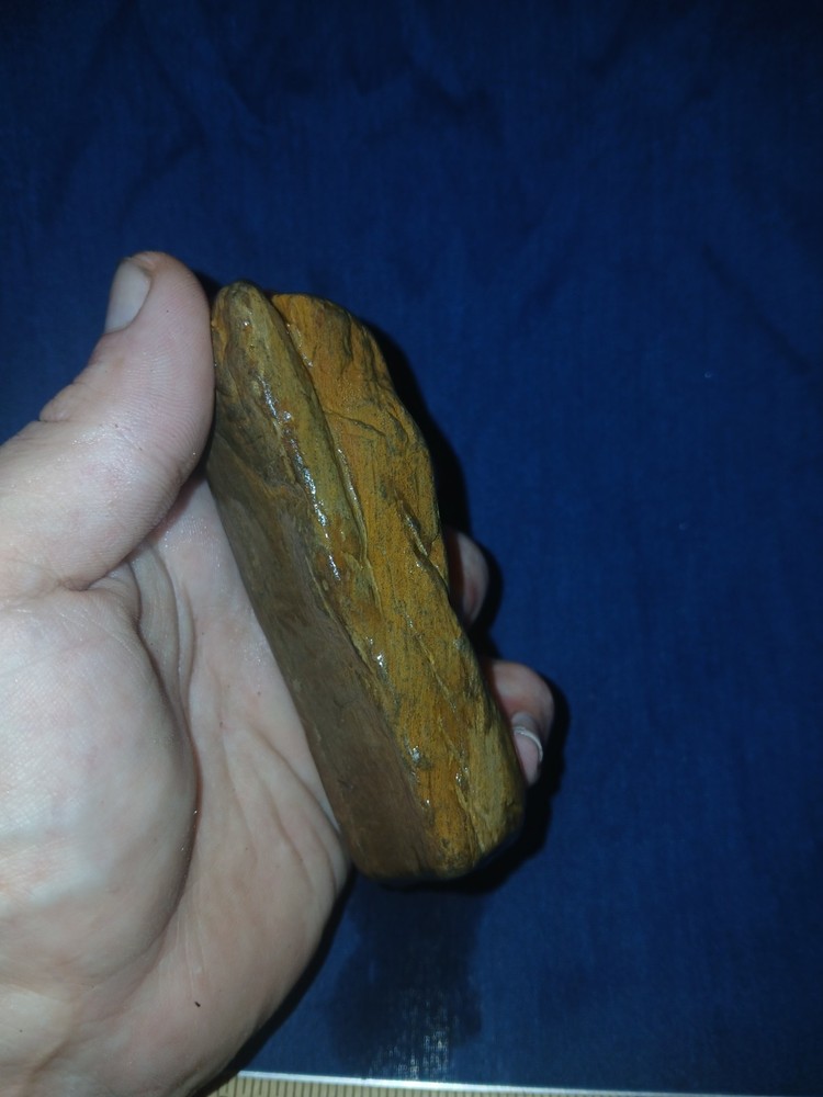 7.1 oz Petrified Wood