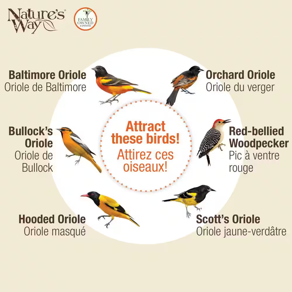 Oriole Wire Feeder 3/4 Cup
