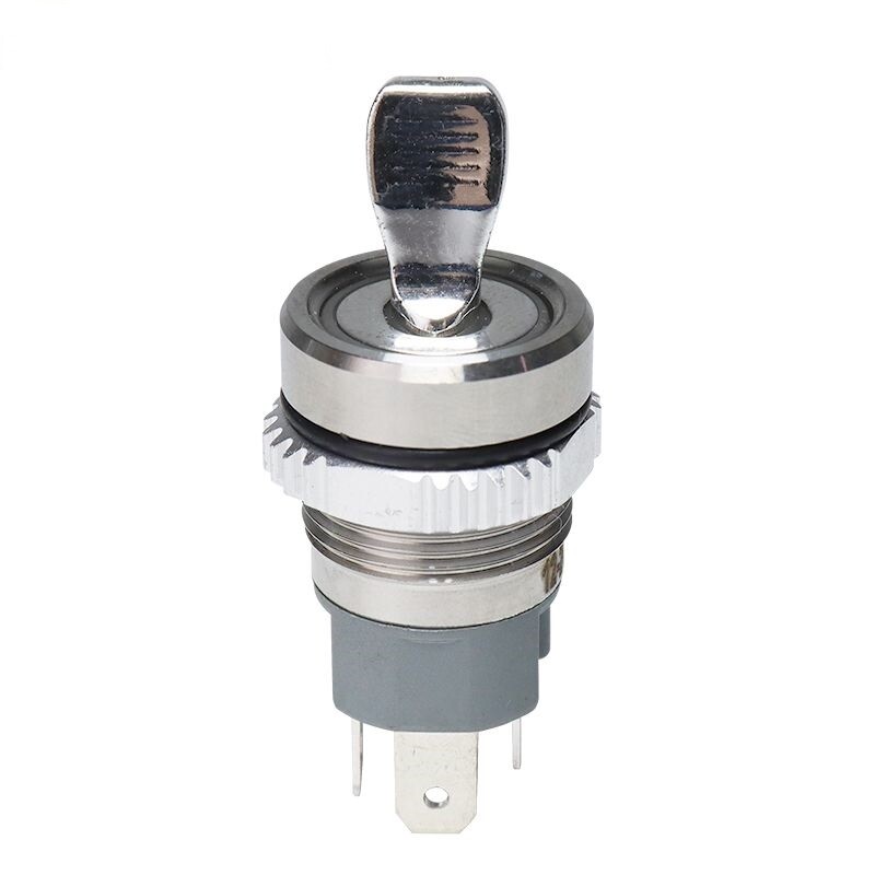 16MM Metal Toggle Switch Waterproof Bicolor LED Light 2 Position Self-locking On