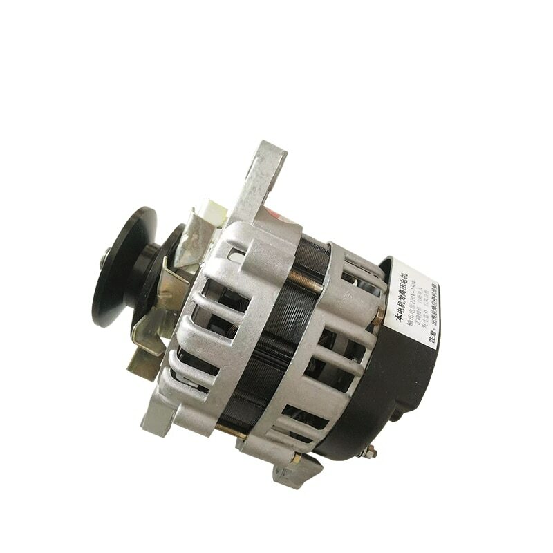 Pulley type 220V small brushless constant voltage copper package AC generator