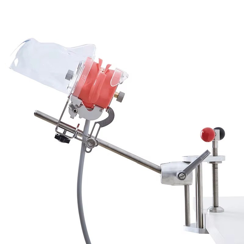 Dental Phantom Mannequin Head Simulator with Typodont Teeth Model for Training