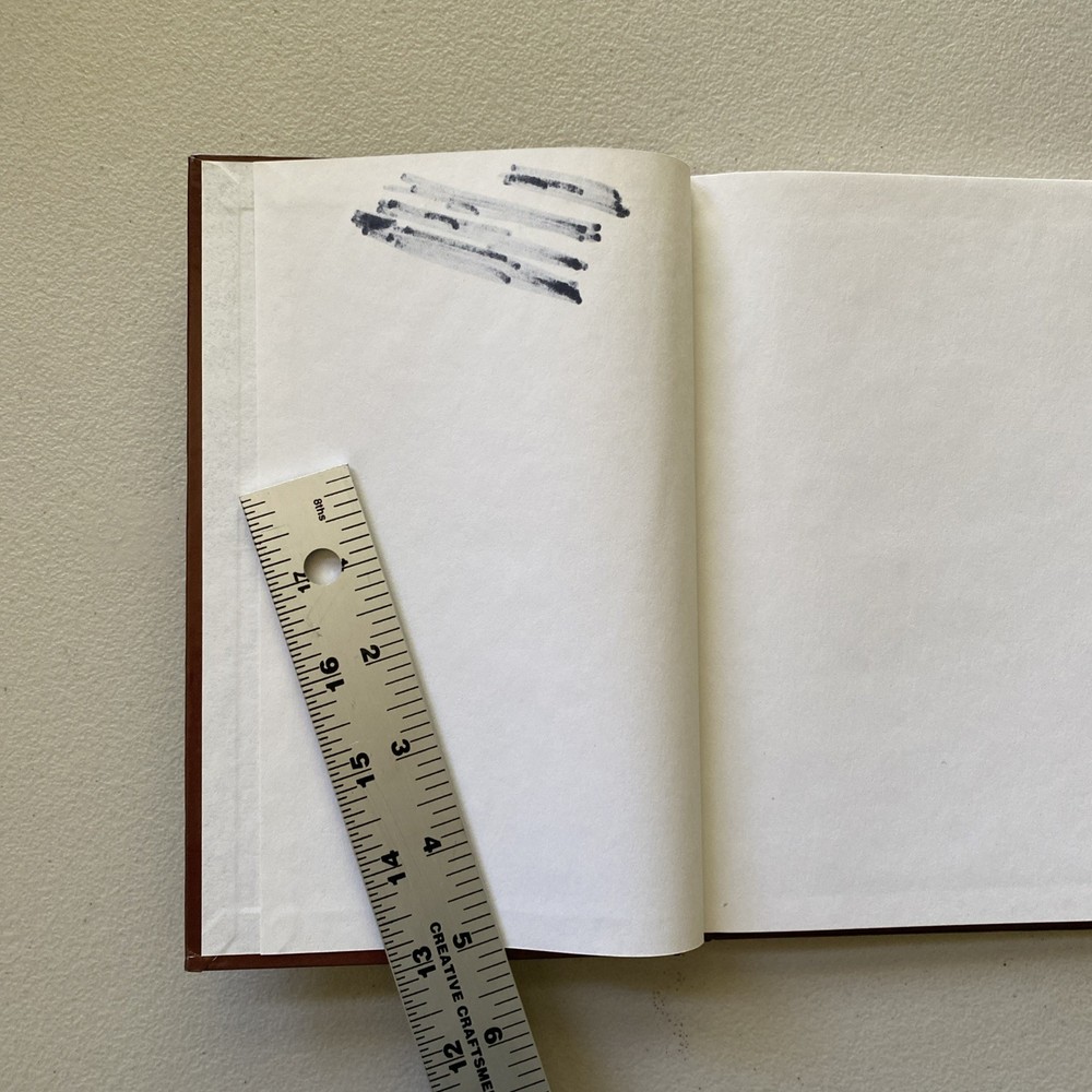 Alice Walker Notebook ~ Blank Notebook Journal, Please Read