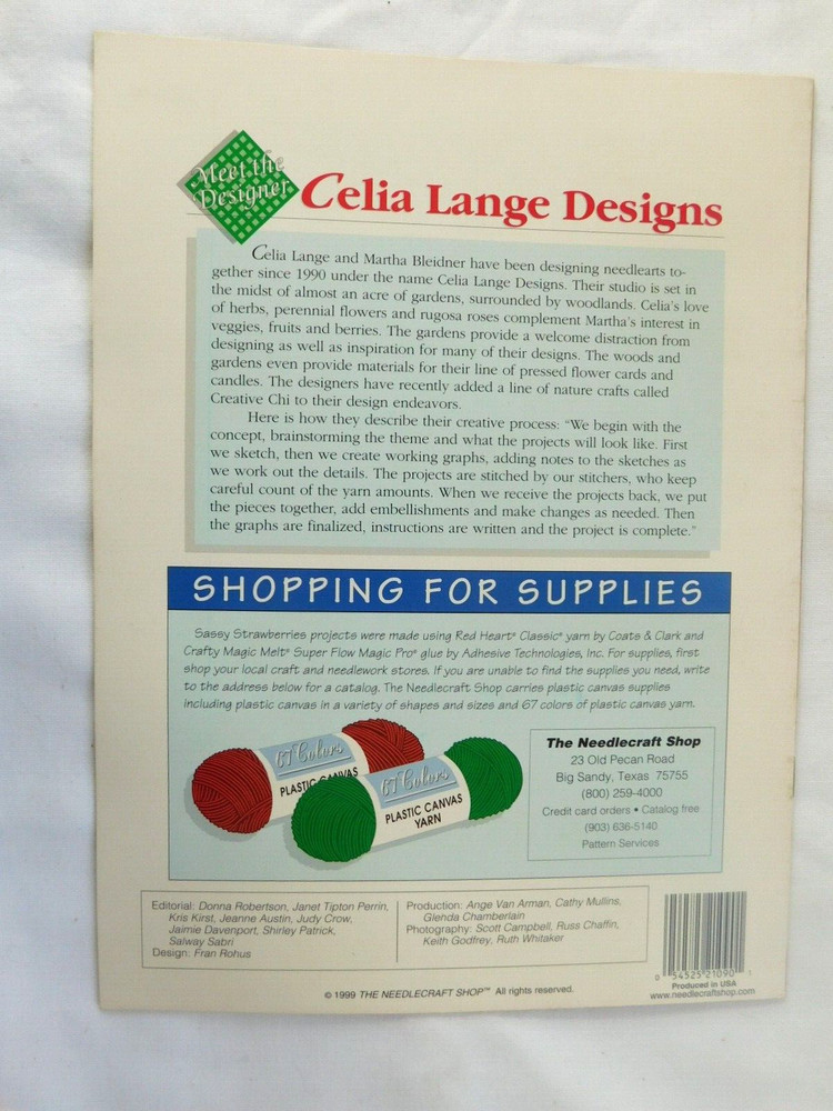 Plastic Canvas Pattern "Sassy Strawberries" Recipe Box, Coasters, Frame +