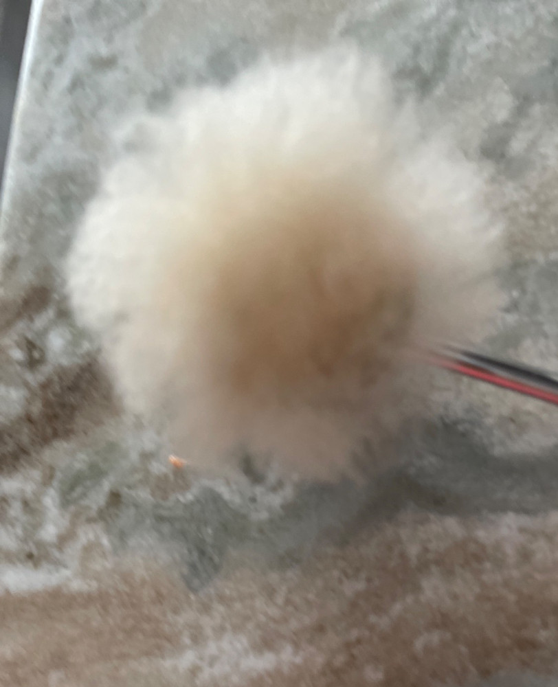 LOWBOY LONG BOY PUFF DADDY BEATER