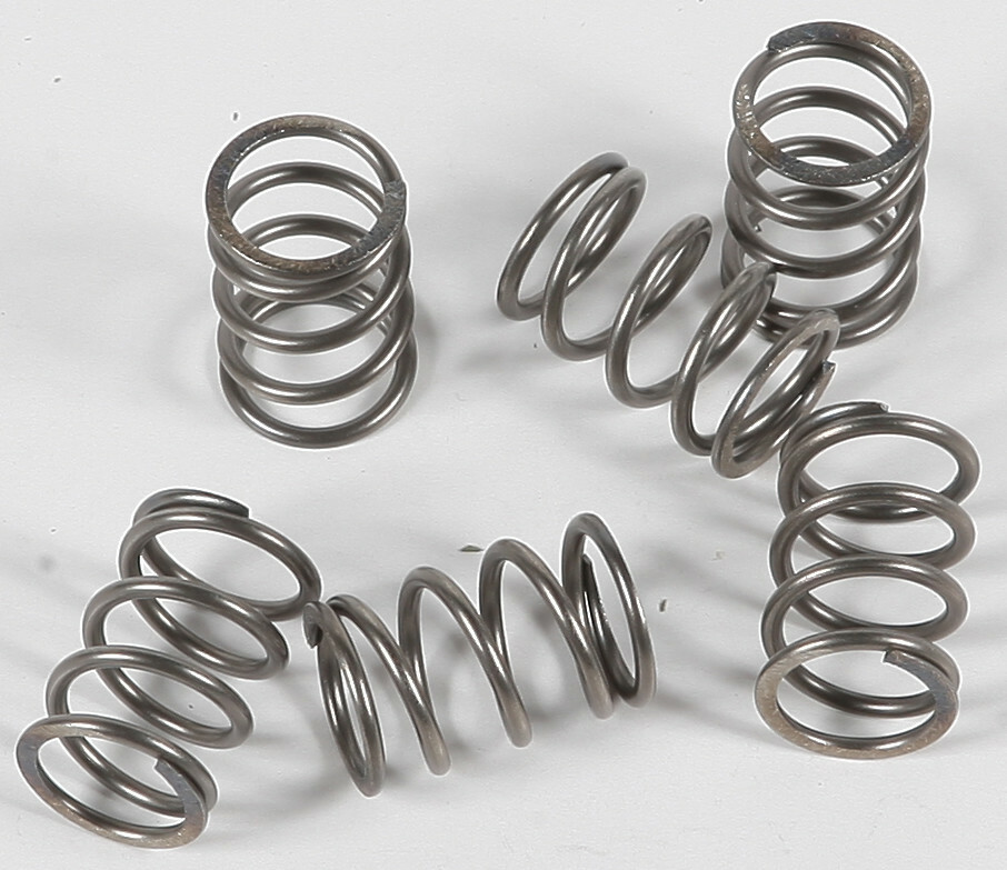 EBC CSK Clutch Spring Kit CSK197