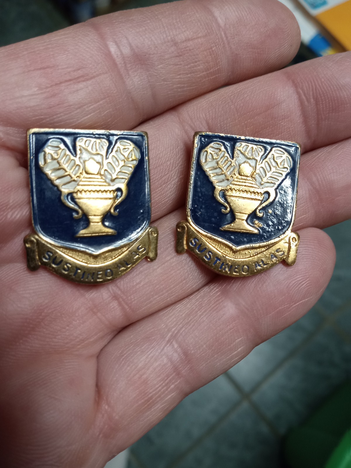 WW2 US AAC Army Air Force Technical Training Command DI DUI Crest Sustineo Alas