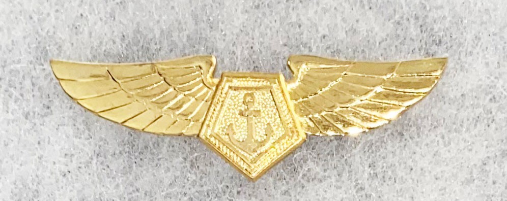 Brazilian Navy Aircrew Wing