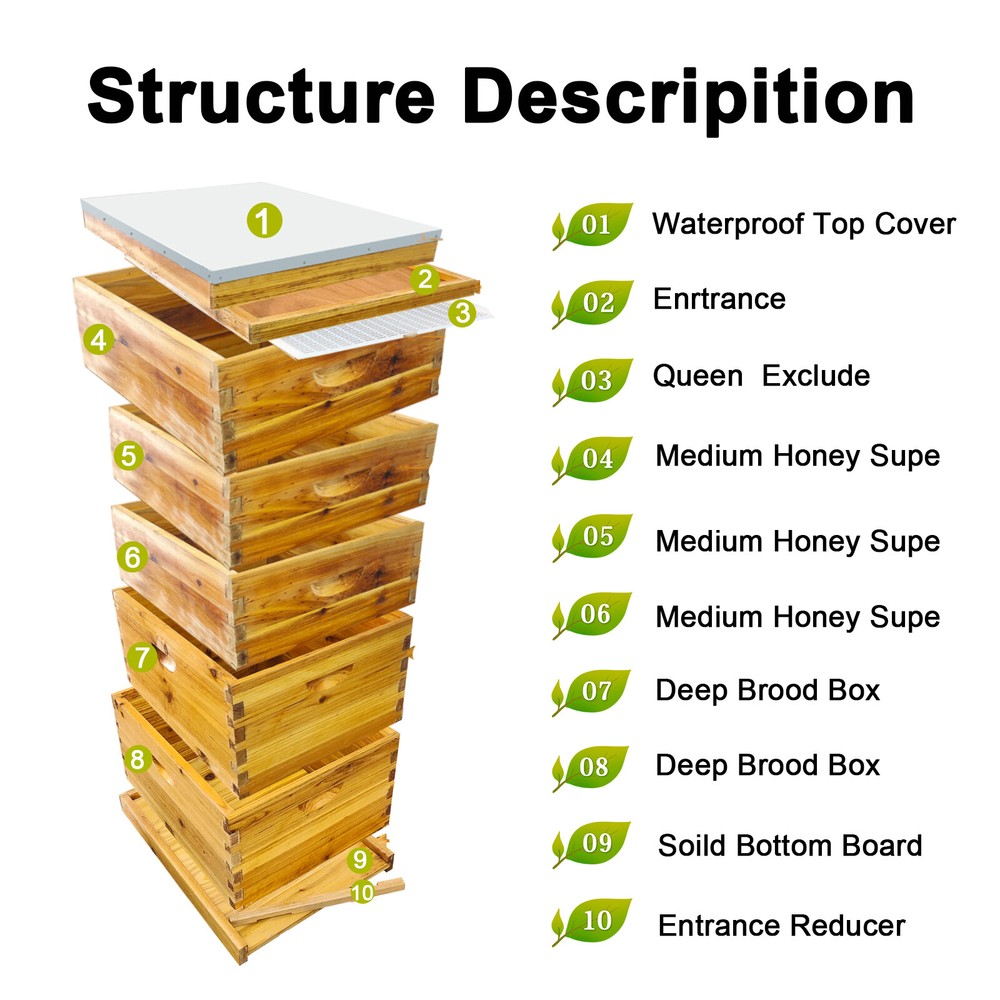 5-layer beehive, including 2 deep and 3 medium hive bodies, upgraded version