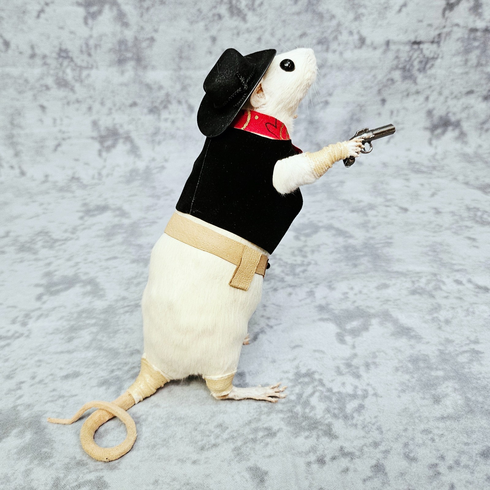 Rat Taxidermy Cowboy Sheriff Rat