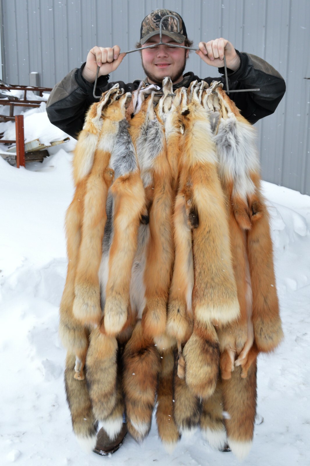 Tanned Red Fox Winter “Heavy Fur” Western Extra Large Premo (rfwhpremo)