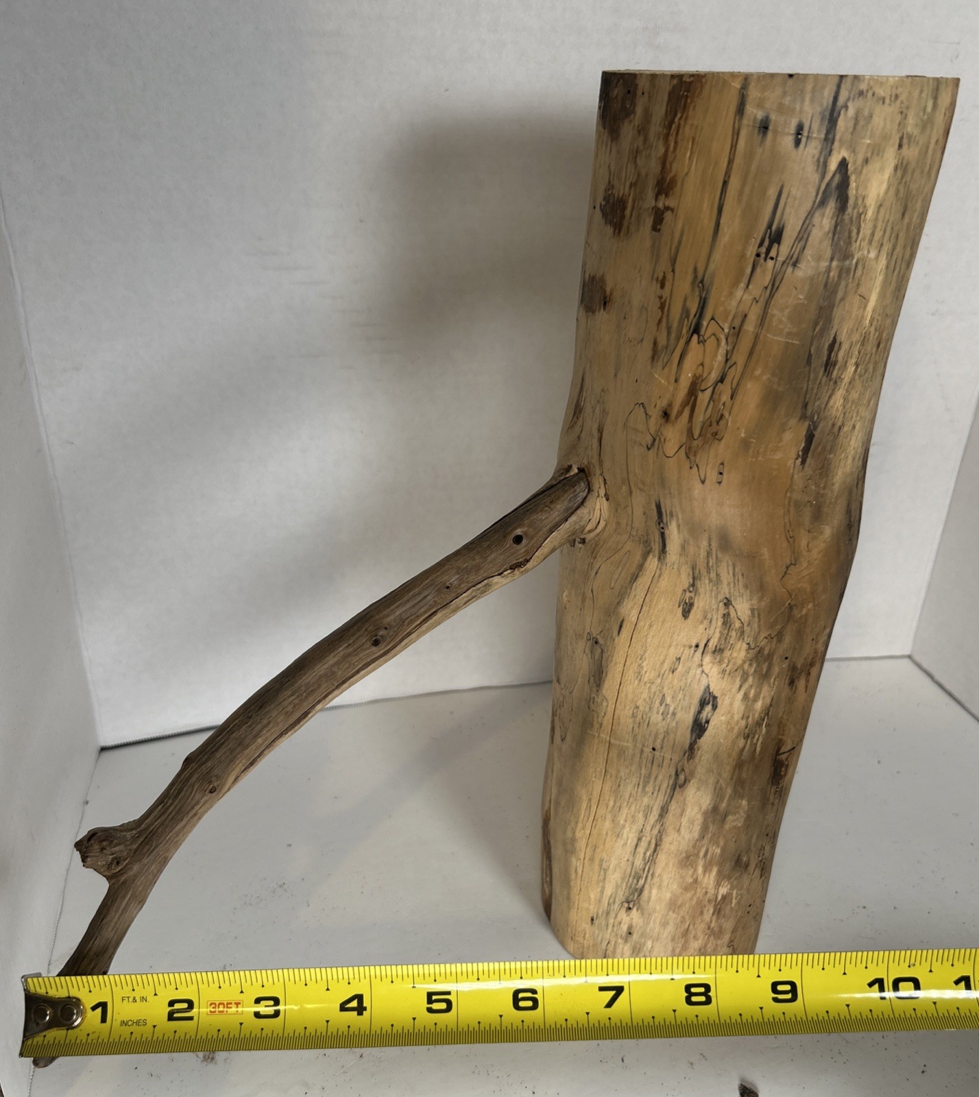 Driftwood¡ 2 Piece Set Cedar Taxidermy Beach Mountain Wedding 1 White Outside