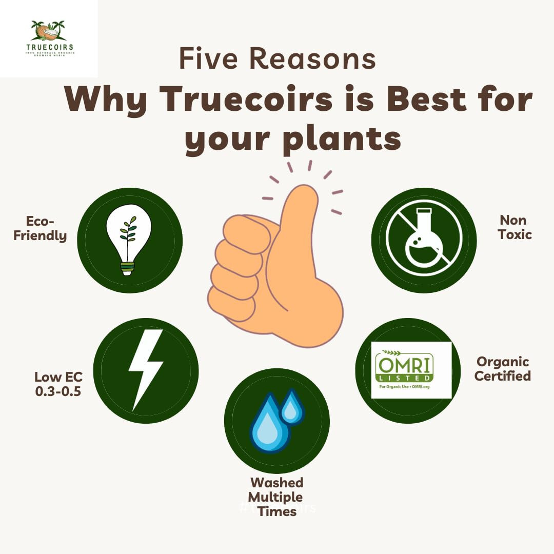 10LB CocoCoir Block Coconut Fiber Potting Soil Plant Organic Growing Media