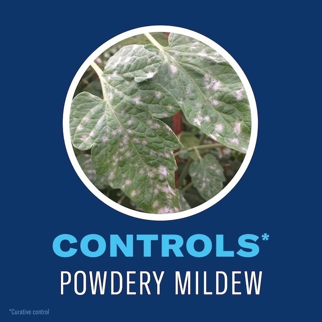 BIOADVANCED ORGANICS - TOMATO - VEGETABLE - FRUIT - INSECT CONTROL - KILLS FAST
