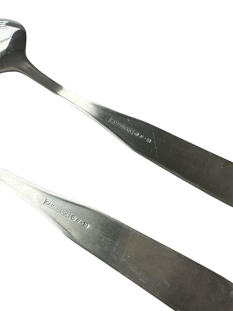 2 CAMBRIDGE MADISON Solid & Pierced Serving Spoons Stainless Fiddle Satin