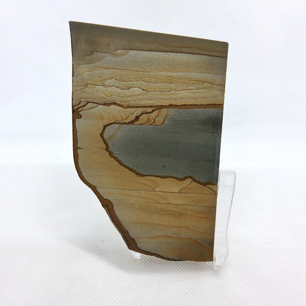 Picture Jasper, landscape, slab, cabbing rough, lapidary, #R-5832