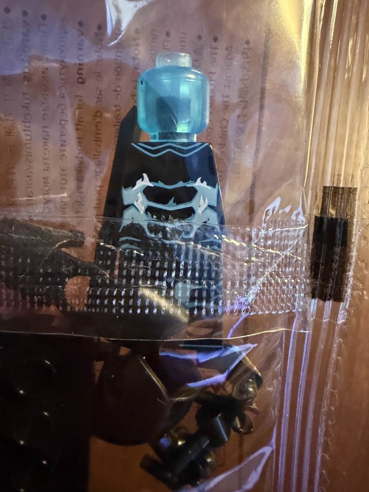 Warrior- Custom Minifigure- Solo Leveling Themed