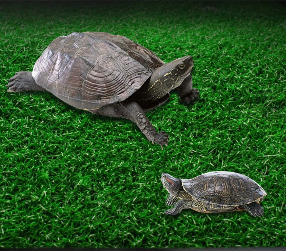 Turtle Resting Basking Platform, Simulation Grass Turtle Ramp, Tortoise Climb...