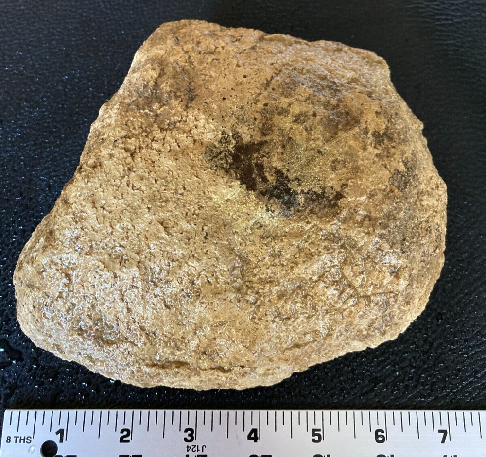 Petrified Wood Chunk embedded in Limestone - 4.2LBS