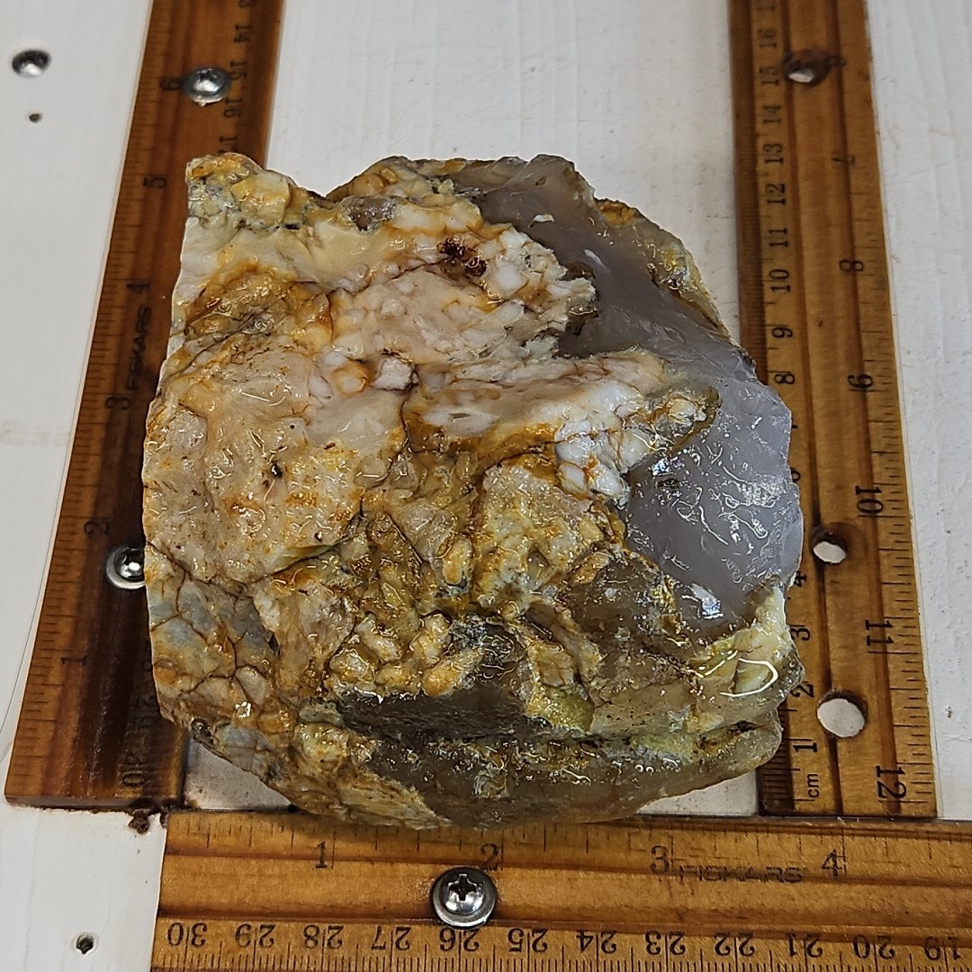 Flower Agate, Madagascar, beautiful color, flower like dendrites 1LB 15.5oz.