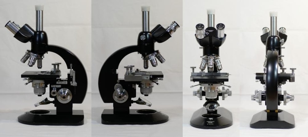 Carl Reichert's phase contrast microscope (BIOZET)