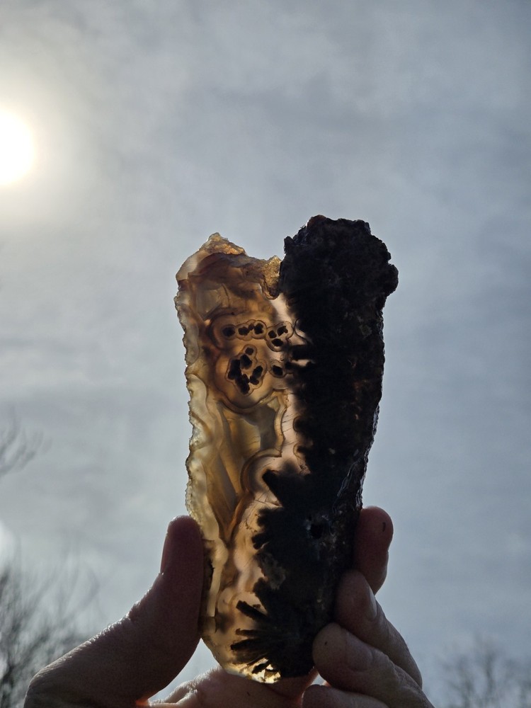Turkish Agate Slab Slice Lapidary Unique