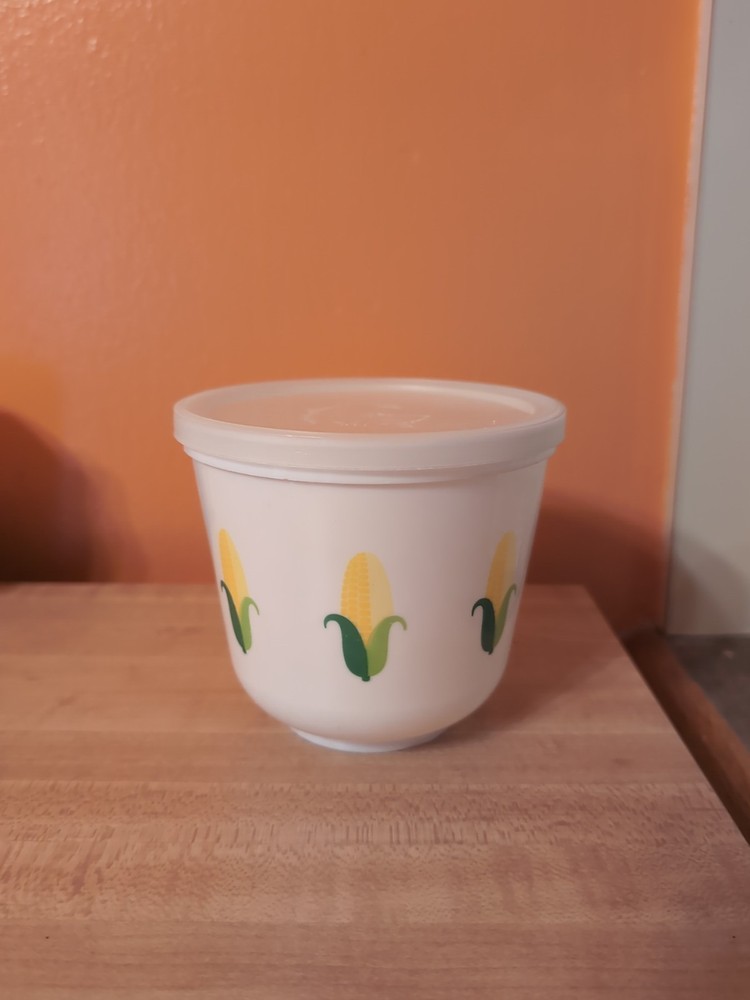 VTG Fleischmann's Margarine Plastic Container Corn Cob Pattern With Lid 4” Tall