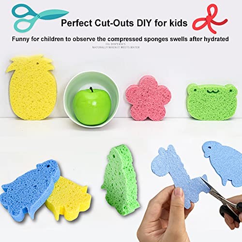 12-Count Kitchen Sponges- Compressed Cellulose Sponges Non-Scratch Multicolor