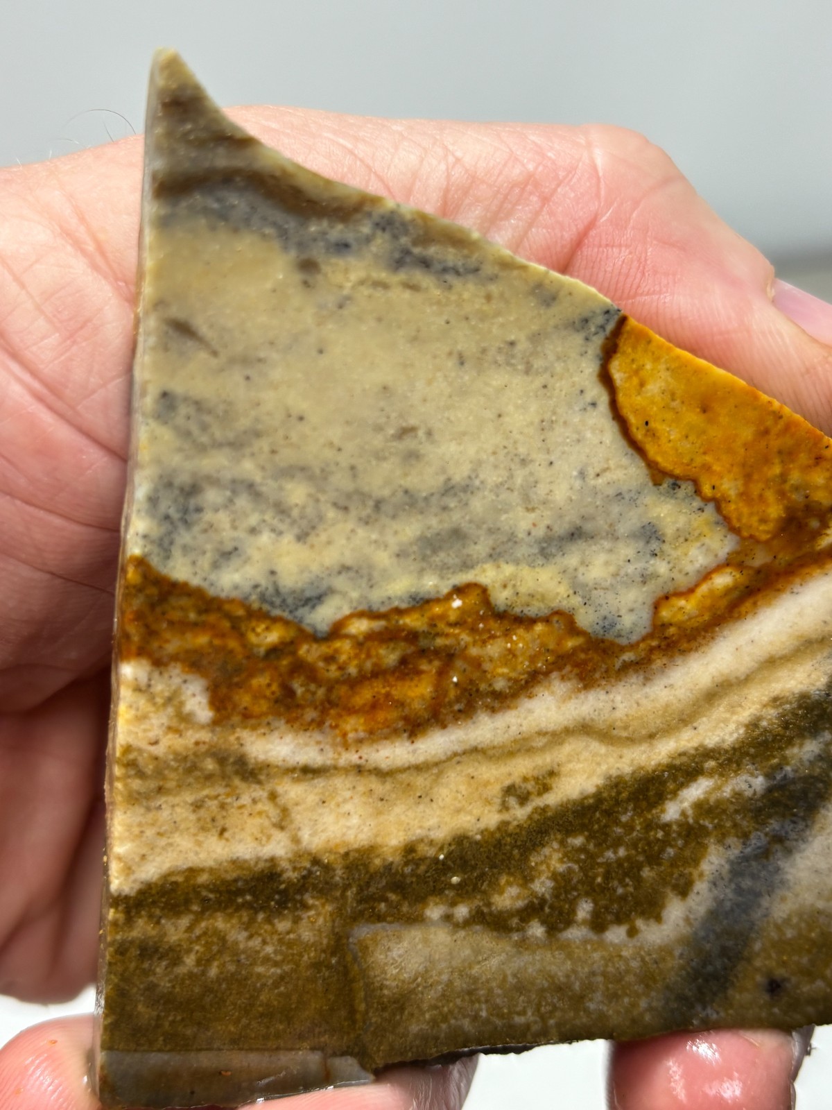 Disaster Peak Picture Jasper Slab Cabbing Lapidary Collecting Combo Ship Avail
