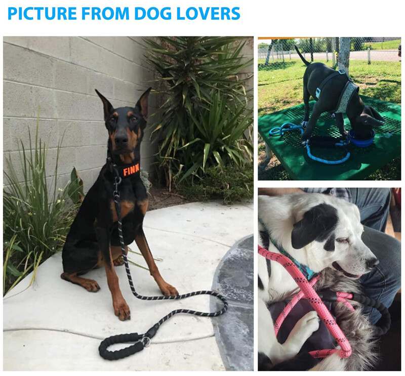 Dog Harness & Training Leash No Pull Control Adjustable Large Handle Heavy Duty