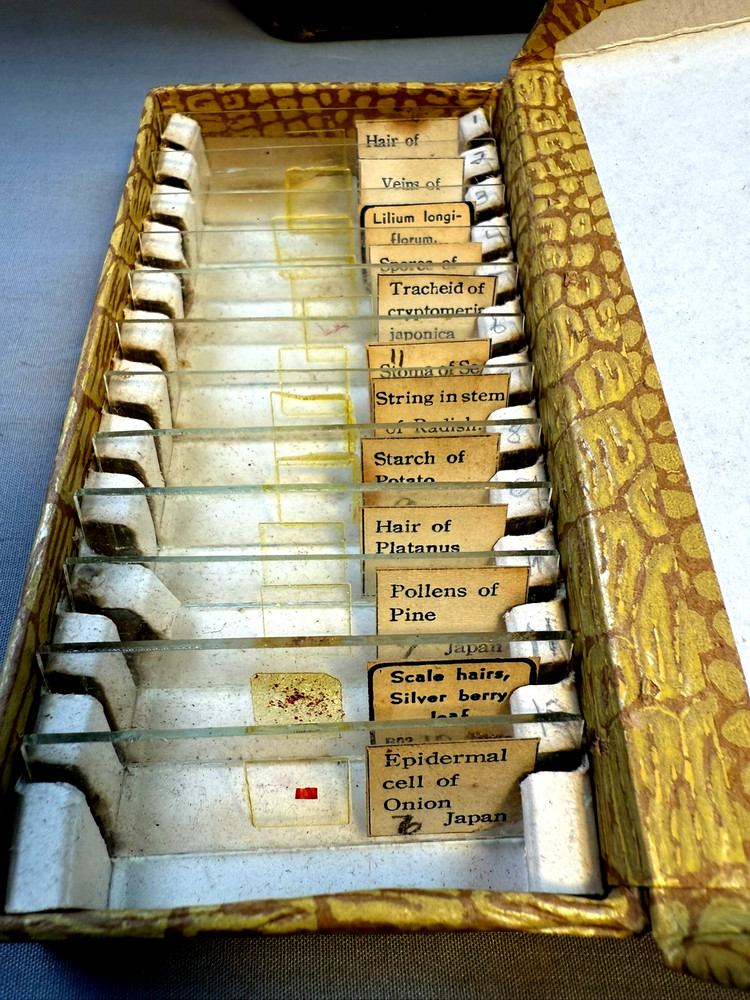 Gilbert Silver Medal Microscope Lab Set w/ 12 Slide Box & Case