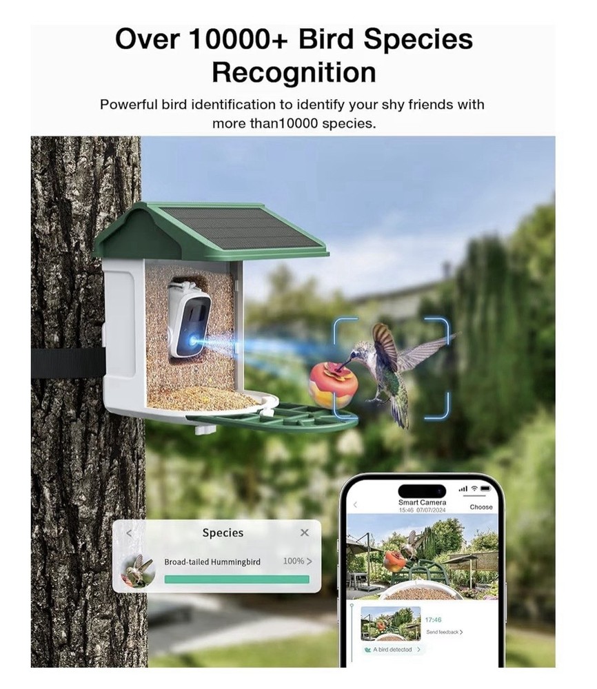 HARYMOR Bird Feeder with Camera Solar Powered-2K Live Feed